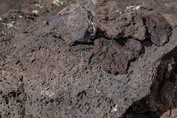 Vesicular texture. BASALT, ROCKS OF SAN FRANCISCO VOLCANIC FIELD. Bonito Lava Flow. Bonito Vista Trail, Sunset Crater Volcano National Monument, Flagstaff, Arizona
