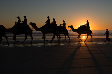 Sunset Camel Ride at Cable Beach, Western Australia