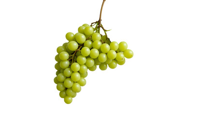 Fresh green grapes bunch isolated on black background healthy fruit sweet snack delicious food ingredient against white transparent background
