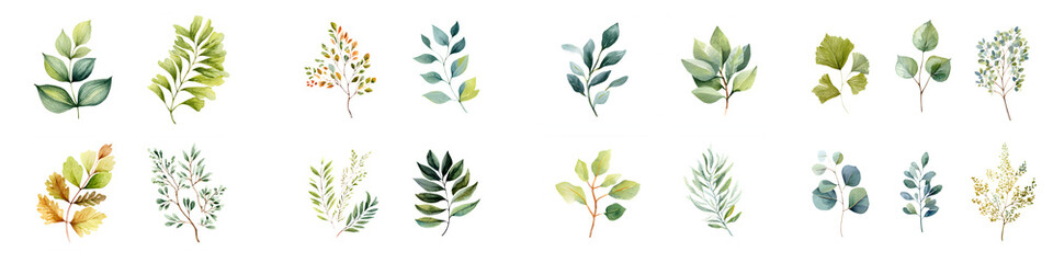 Watercolor Greenery Collection: Botanical Illustration Set for Design Projects