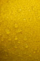 ripe yellow citrus covered with drops of water, wet citrus peel with lots of drops of pure water, close up