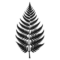 Detailed silhouette of a fern frond with intricate pinnate leaflets against a clean white background