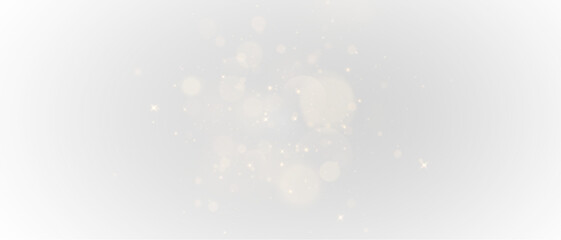 PNG Light Effect, Bokeh Vector Transparent Sunlight Shine, Sparkling Glow, Radiant Flash, Magic Glitter Particles, Golden Shimmer, Glowing Rays, Abstract Light Burst, Twinkling.