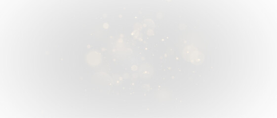 PNG Light Effect, Bokeh Vector Transparent Sunlight Shine, Sparkling Glow, Radiant Flash, Magic Glitter Particles, Golden Shimmer, Glowing Rays, Abstract Light Burst, Twinkling.