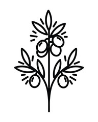 Olive Branch Plant with Fruits and Leaves Outline Style Isolated Vector Illustration