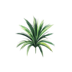 Fototapeta premium Isolated palm tree with tropical leaves on a white background