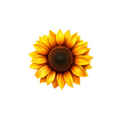 Fototapeta premium Close-up of a vibrant yellow sunflower blossom with green leaves, beautifully isolated on a clean white background, capturing its natural summer beauty