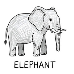 Fototapeta premium Elephant illustration with word “ELEPHANT”, educational flashcard for children, hand-drawn with crayons in childlike style on white background, for learning animal names and English vocabulary