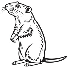 Vector Illustration or vector art of Rabbits