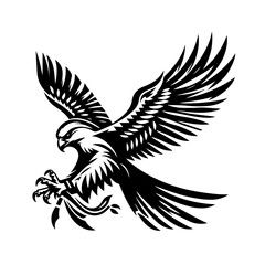 Obraz premium A hawk descends with outstretched talons, isolated on white background