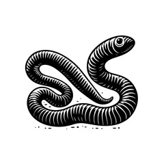 An earthworm crawling isolated on white background in black and white