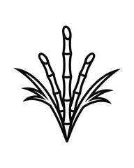 Stylized Sugarcane Plants, Simple Line Art, Agriculture Crop, Isolated on White Background, Vector Illustration