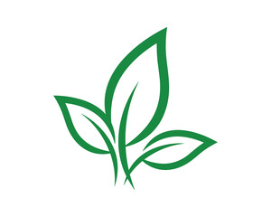 Three Green Leaves Elegant Design, Minimalist, Fresh Concept Isolated Vector Illustration