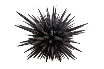Dark, spiky sphere explodes outward