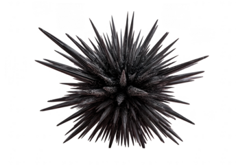 Dark, spiky sphere explodes outward