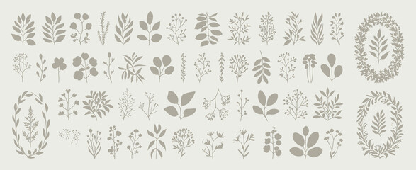 Elegant botanical line art collection of floral and leafy motifs