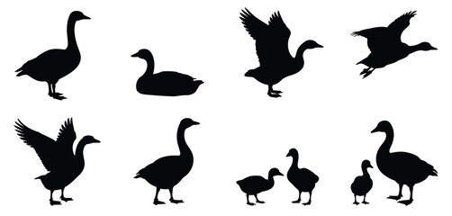Diverse silhouettes of geese in various poses and actions