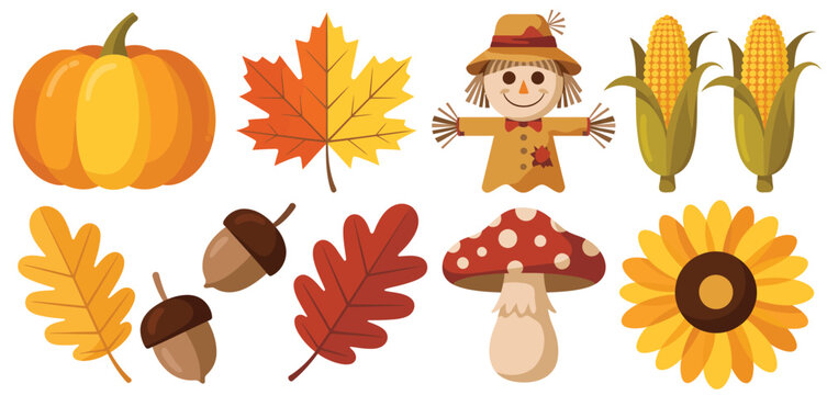 Autumn harvest and fall elements collection