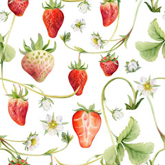 Strawberry berries leaves flowers hanging on vines tendrils creepers, ripe garden pineberry strasberry. Hand drawn in watercolor. Isolated seamless pattern. Wallpaper, food packaging, textile cover