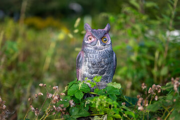 Sculpture d'un hibou ou une chouette en pierre avec un œil cassé dans un jardin a Tampere en Finlande 