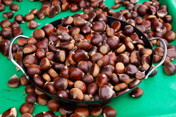 Metal wok filled and overflowing with fresh, raw, uncooked chestnuts on a green background.