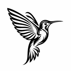 black and white bird