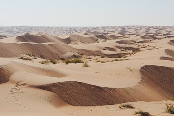 Wahiba Sands Desert, Oman