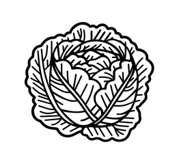 Fresh cabbage head graphic displays a crisp, white and black design ideal for healthy food content and recipe artwork or branding.