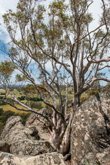 Hanging Rock In Victoria, Australia