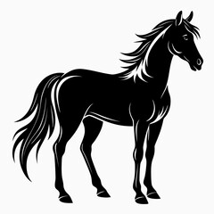 Obraz premium horse silhouette isolated on white