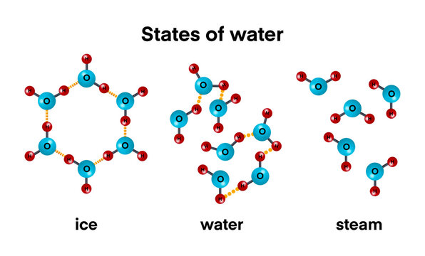 states of water, educational illustration shows the three states of water ice, liquid, and steam at the molecular level. It highlights how hydrogen bonding changes with temperature and physical state