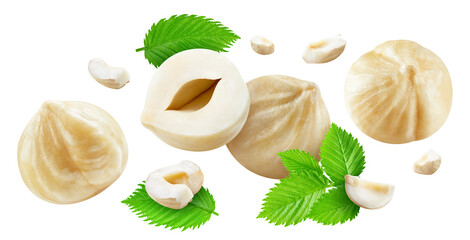 Hazelnut isolated on white background