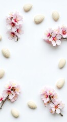 Fototapeta premium Delicate blossoms and almonds arranged on a white surface.