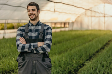 Farmer smiling with crossed arms in greenhouse: growing green seedlings