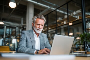Mature professional man using laptop in modern office lounge, portraying remote work, business confidence, and digital productivity.