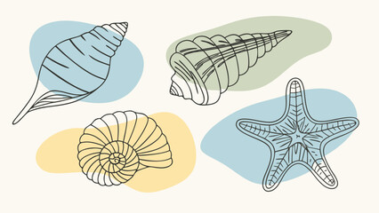sea shells vector illustration