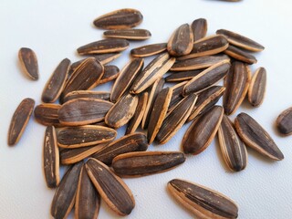 sunflower seed background