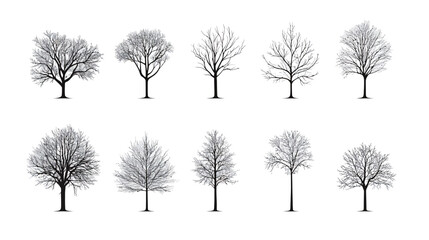Obraz premium Tree outline vector graphic on white background, minimal line art of natural foliage, eco-friendly design element, environmental and botanical concept illustration in clean monochrome style