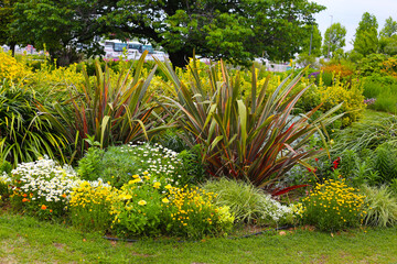 A variety of colorful flowers in full bloom at a park in Japan