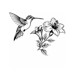 hummingbird and flower