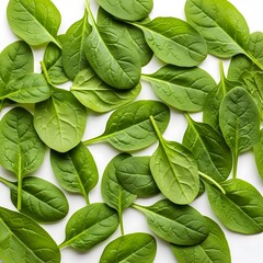 Fresh Green Spinach Leaves Spread on a White Background.