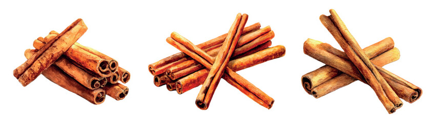 Watercolor cinnamon sticks png. Spicy seasoning from cinnamon sticks watercolor. Dry Indian spices for baking, food, sweets, etc. Fragrant spices for sweet pastries and drinks.