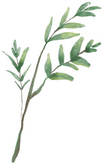 green bamboo leaves watercolor paint