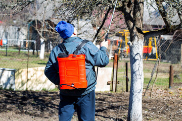 A retired man treats trees and bushes with an electric sprayer against pests and diseases in the...