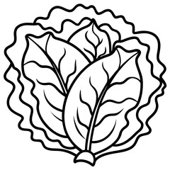 Collard Greens Illustration