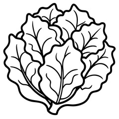 Collard Greens Illustration