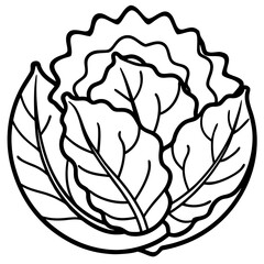 Collard Greens Illustration