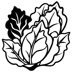 Collard Greens Illustration