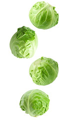 Fototapeta premium Four fresh green cabbages falling and rotating on transparent background, ideal for healthy eating and vegan concepts