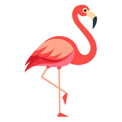 pink flamingo isolated on white